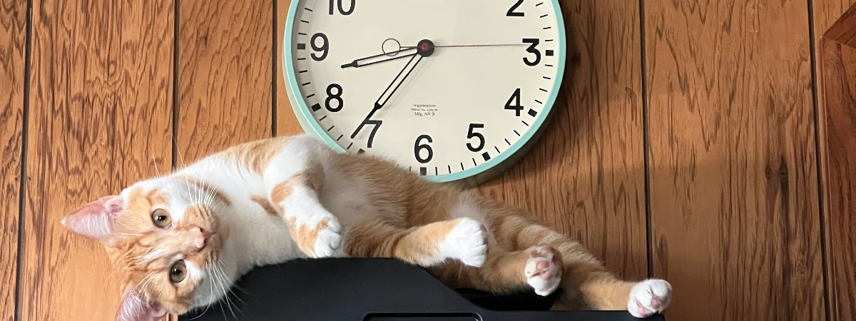What time is it?